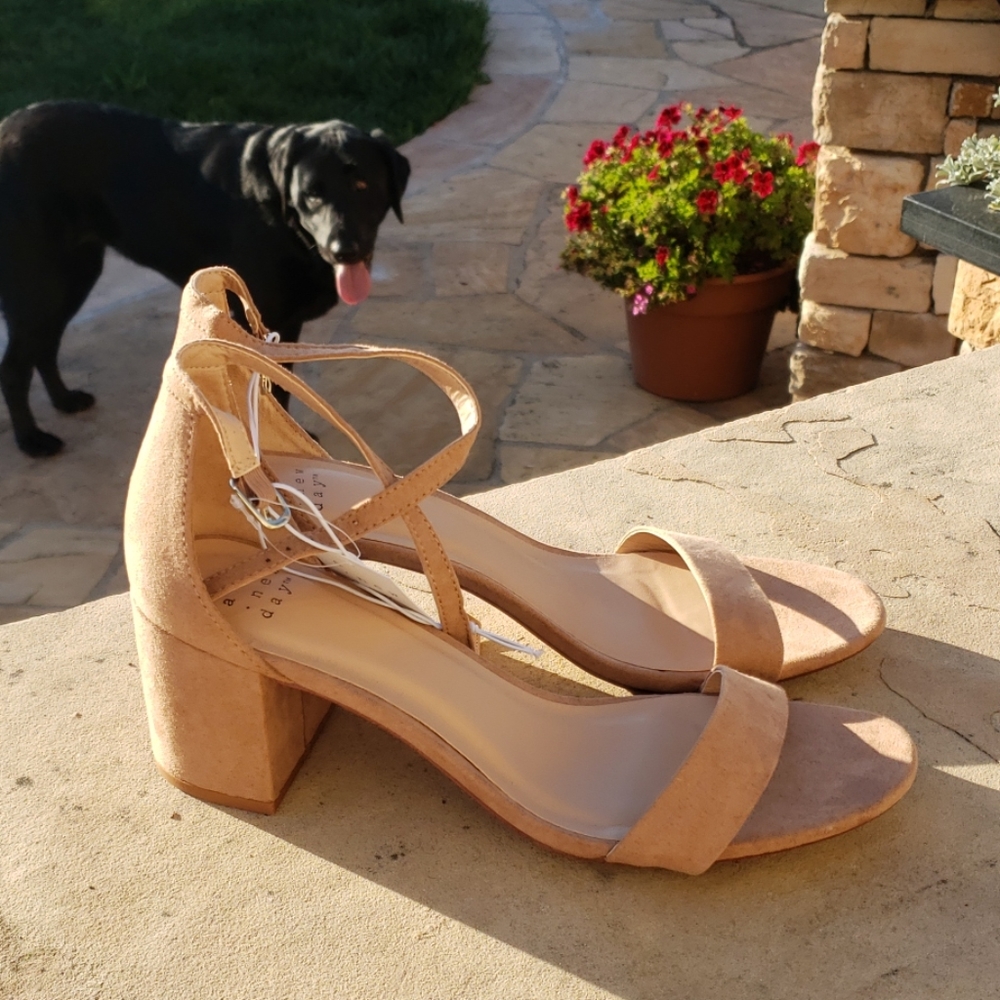 A New Day Tan Heels